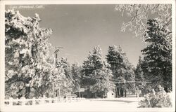 Lake Arrowhead in the Snow Postcard