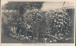 Italian Gardens "Benvenuto", Tod Inlet Postcard