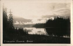 View across Wrangell Narrows Postcard