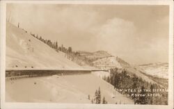 Southern Pacific Snow Sheds - Winter in the Sierras Postcard