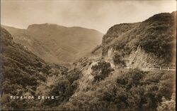 Topanga Drive Postcard