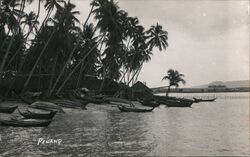 Boats on Ocean Shore Postcard