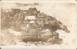 Burnt Bodies of Bandits, Border War Postcard