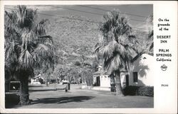 Desert Inn Postcard
