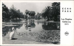 Echo Park Postcard