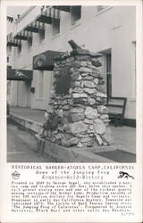 Historical Marker - Angels Camp, California Postcard