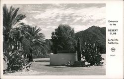 Entrance to the Desert Club Postcard