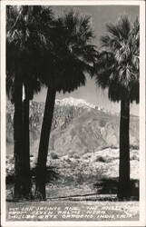 Mt. San Jacinto and "The Angel" from Seven Palms Postcard