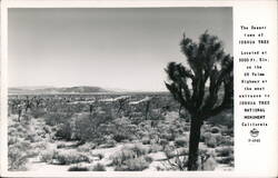 The Desert Town of Joshua Tree Postcard