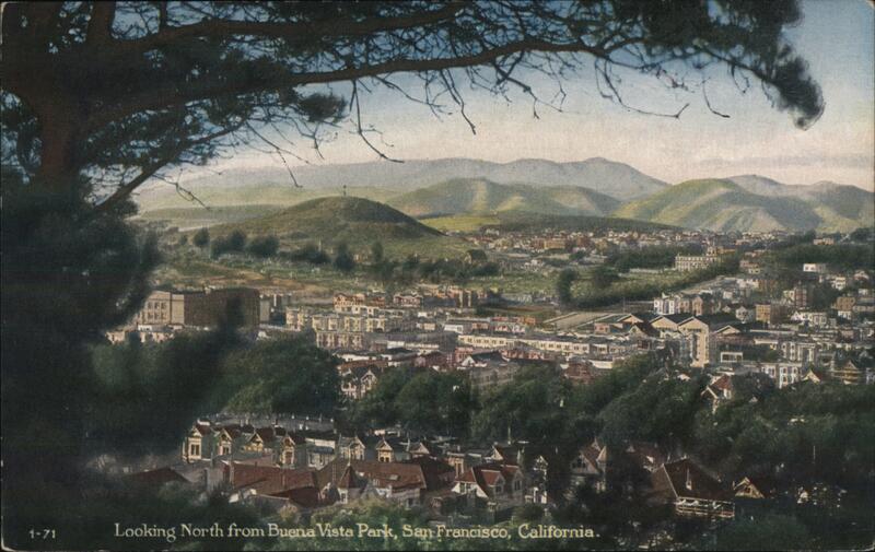 Looking North from Buena Vista Park San Francisco California
