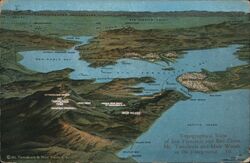 Topographical View of San Francisco and Bay Cities Postcard