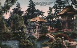 Tea House and Entrance, Japanese Tea Garden, Golden Gate Park Postcard