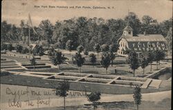 New York State Fish Hatchery and Ponds, Caledonia, NY Postcard