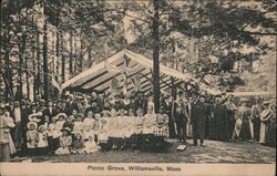 Picnic Grove Postcard