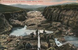 Shoveling In On No. 4 Buster Creek Postcard