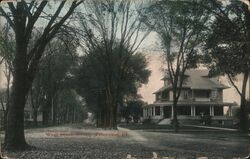 West South Street, Princeton Postcard
