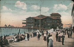 Auditorium and Ocean Front, Ocean Park Postcard