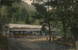 The Toll House on St. Helena Mountain Postcard