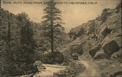 Auto Road from Santa Rosa to Calistoga Postcard