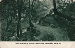 Shady Resting Spot on the Trail in Howell Canyon, Duncan Springs Postcard