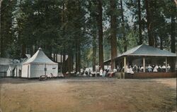Camp Curry, Yosemite Postcard