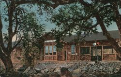 Yosemite Valley R. R. Depot Postcard