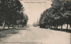 Street Scene, Lemoore Postcard