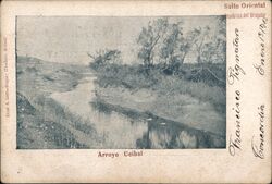 Arroyo Ceibal, Salto Oriental, Uruguay Postcard