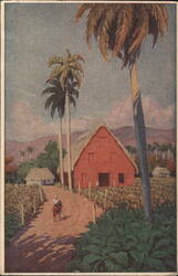 Cuba, Tobacco Barn, Horse Rider, Palm Trees Postcard