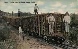 Train Load of Sugar Cane, Cuba Postcard