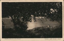 Haifa, Sun-Set on the Carmel Postcard