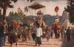 Procession of the Tooth Relic, Kandy Perahera, Ceylon Postcard