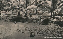 Retting Coconut Husks, Ceylon Postcard