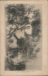 A Fukien Roadside, Shaowu, China Postcard