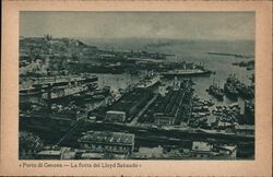 Porto di Genova - La flotta del Lloyd Sabaudo Postcard