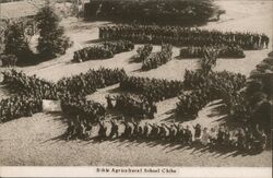 Stock #1032177 Thumbnail