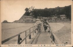 Japan - Enoshima Island - Seacoast Postcard