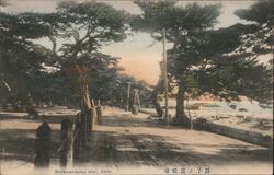 Maiko-no-hama near Kobe Japan Postcard