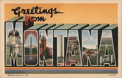 Greetings from Montana Postcard