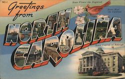 Greetings from North Carolina Postcard