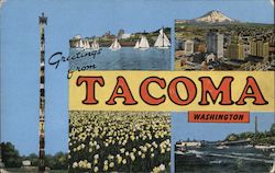 Greetings from Tacoma Washington Postcard Postcard Postcard