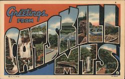 Greetings from The Catskill Mountains Postcard