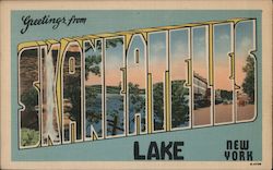 Greetings from Skaneateles Lake New York Postcard Postcard Postcard