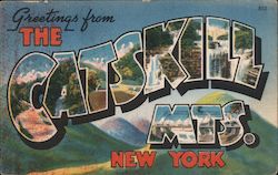 Greetings from the Catskill Mountains New York Postcard Postcard Postcard