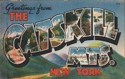 Greetings from the Catskill Mountains Postcard