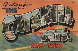 Greetings from the Catskill Mountains Postcard