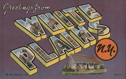 Greetings from White Plains Postcard