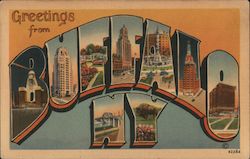 Greetings from Buffalo Postcard