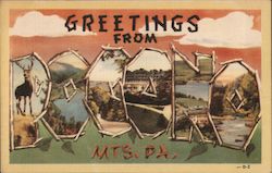 Greetings from Pocono Mountains Postcard