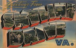 Greetings from Skyline Drive Postcard